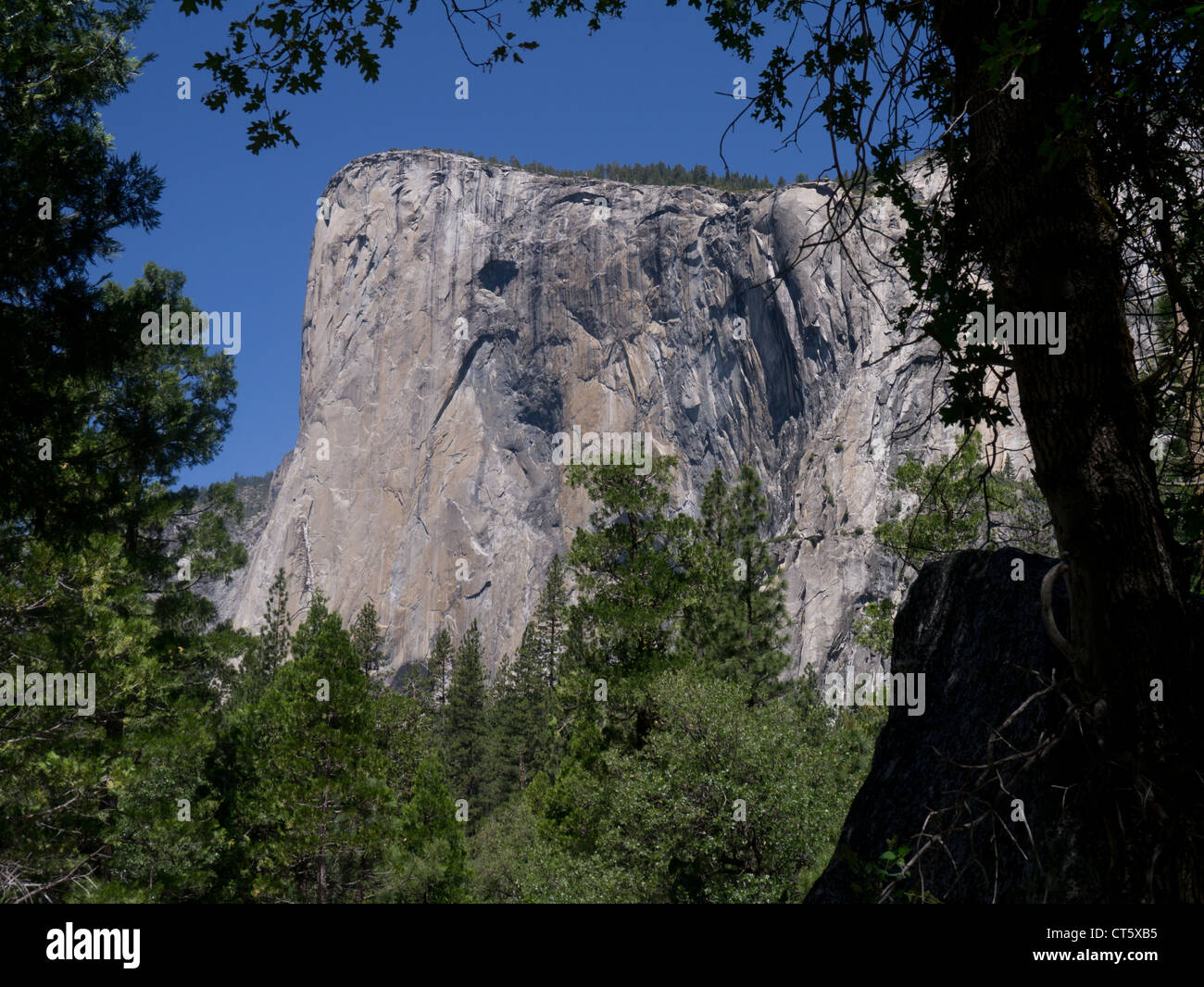 El Capitan dans le Parc National de Yosemite, Californie Banque D'Images