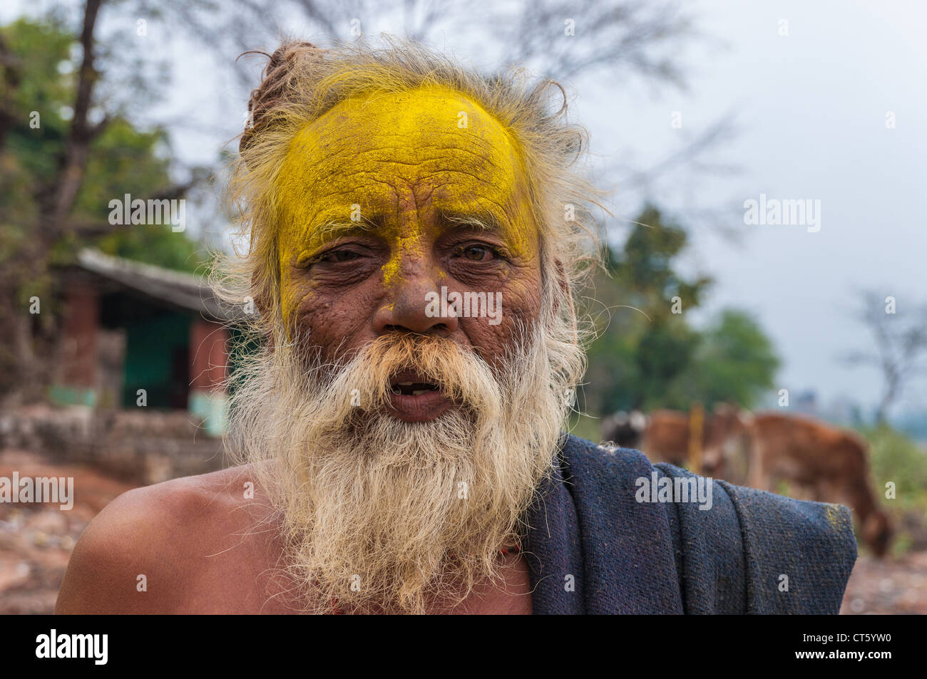 Vieil indien homme barbu et visage peint de fête, Orchha, Rajasthan, Inde Banque D'Images