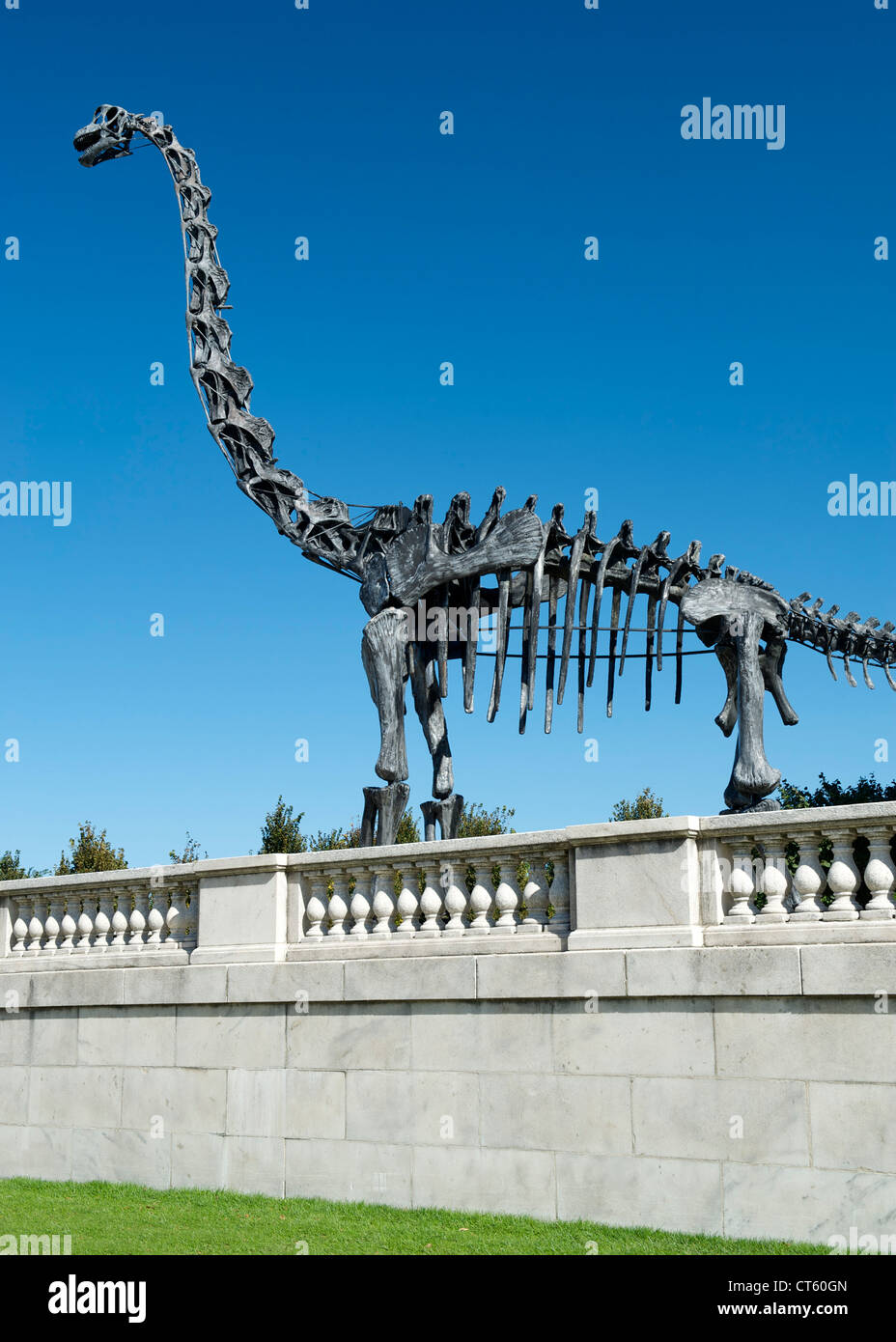Brachiosaure en dehors du domaine de la sculpture Museum of Natural History de Chicago, Illinois, USA. Banque D'Images