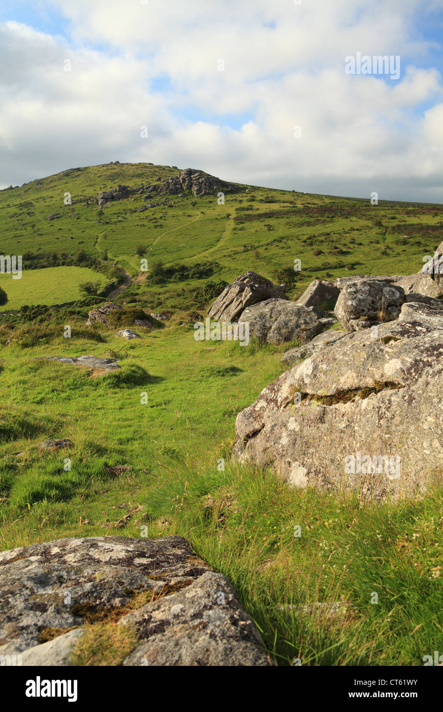 Tor Bell, près de Widecombe, vue de Bonehill roches, Dartmoor, Devon, England, UK Banque D'Images