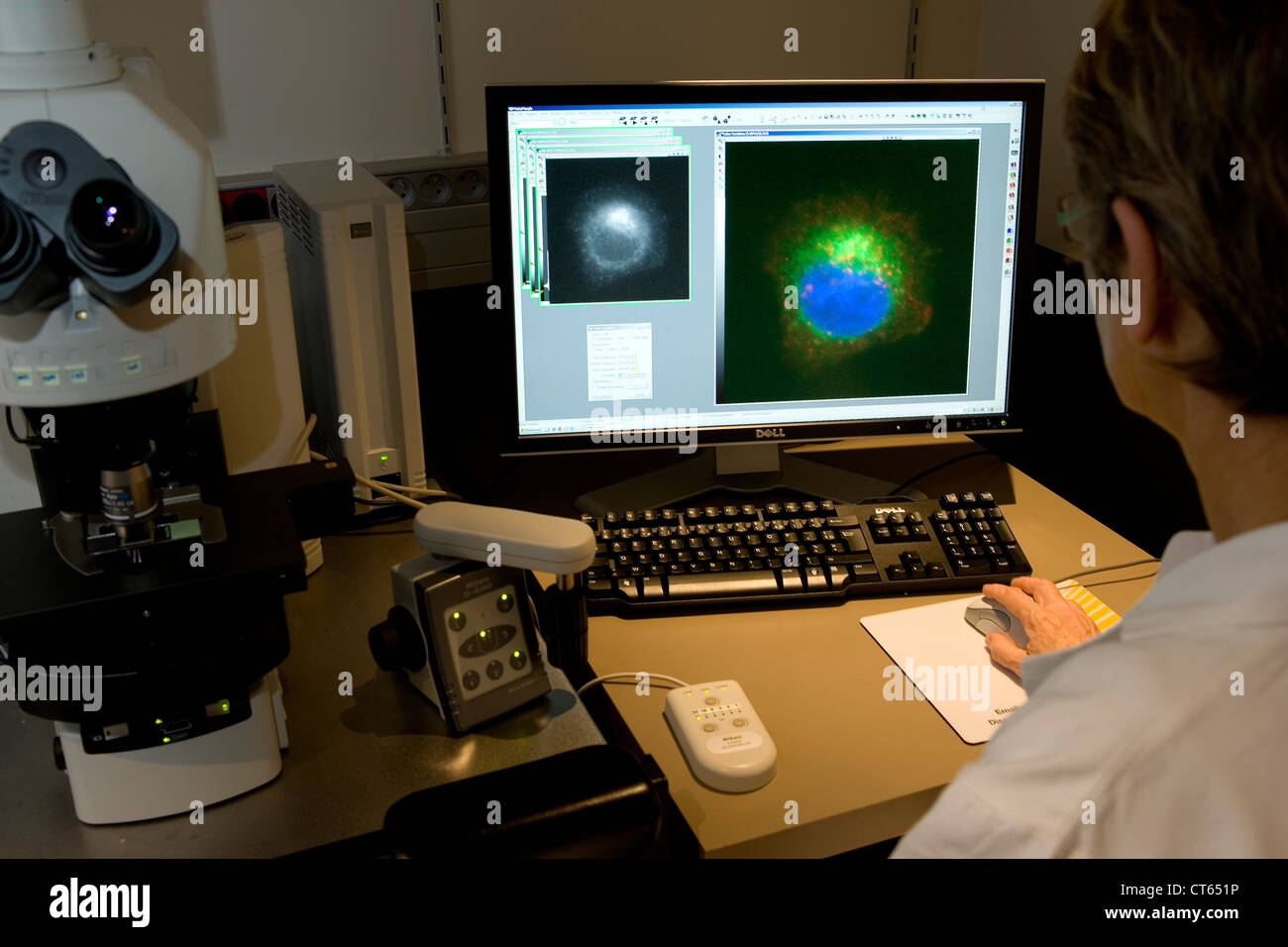 MICROSCOPE CONFOCAL Banque D'Images