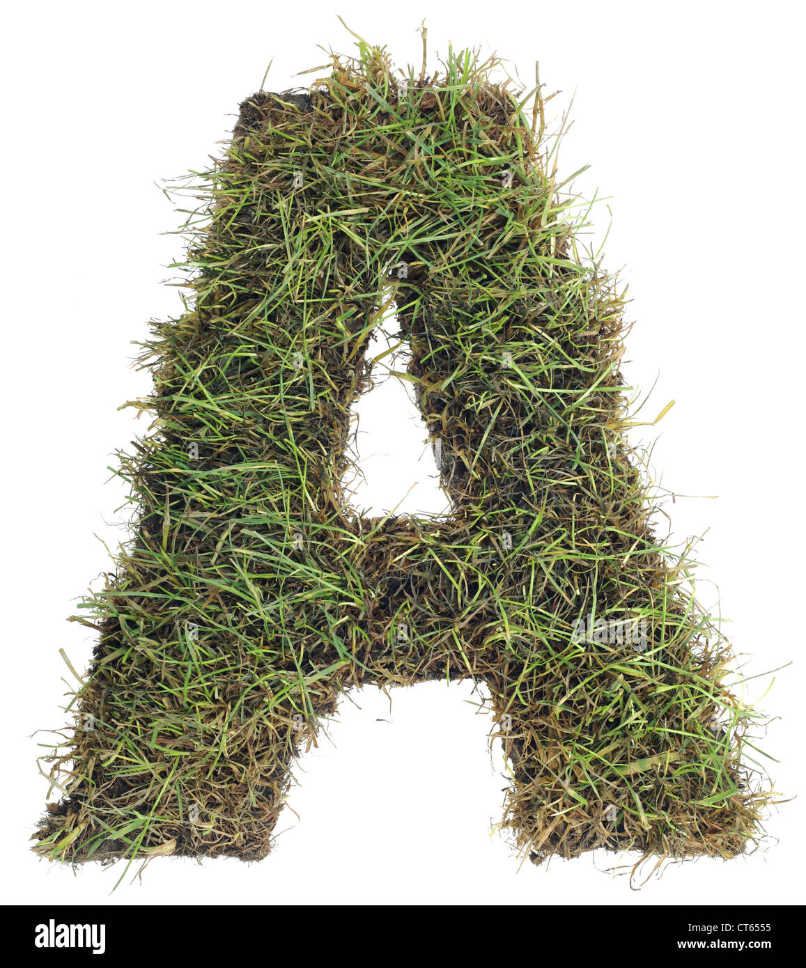 Lettre A fait avec du vrai Grass isolated on White Background Banque D'Images