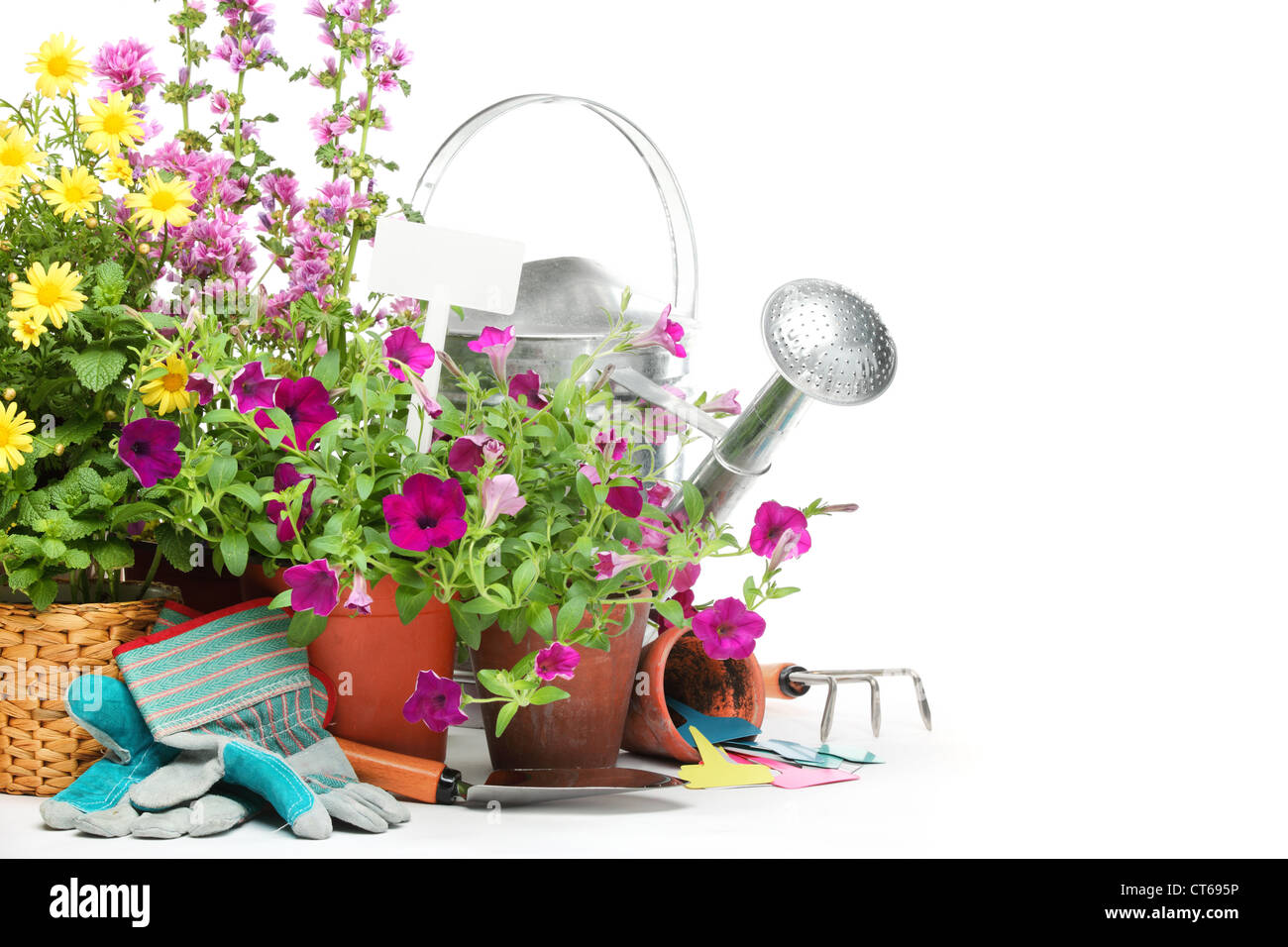 Outils de jardinage et de fleurs isolé sur blanc. Banque D'Images