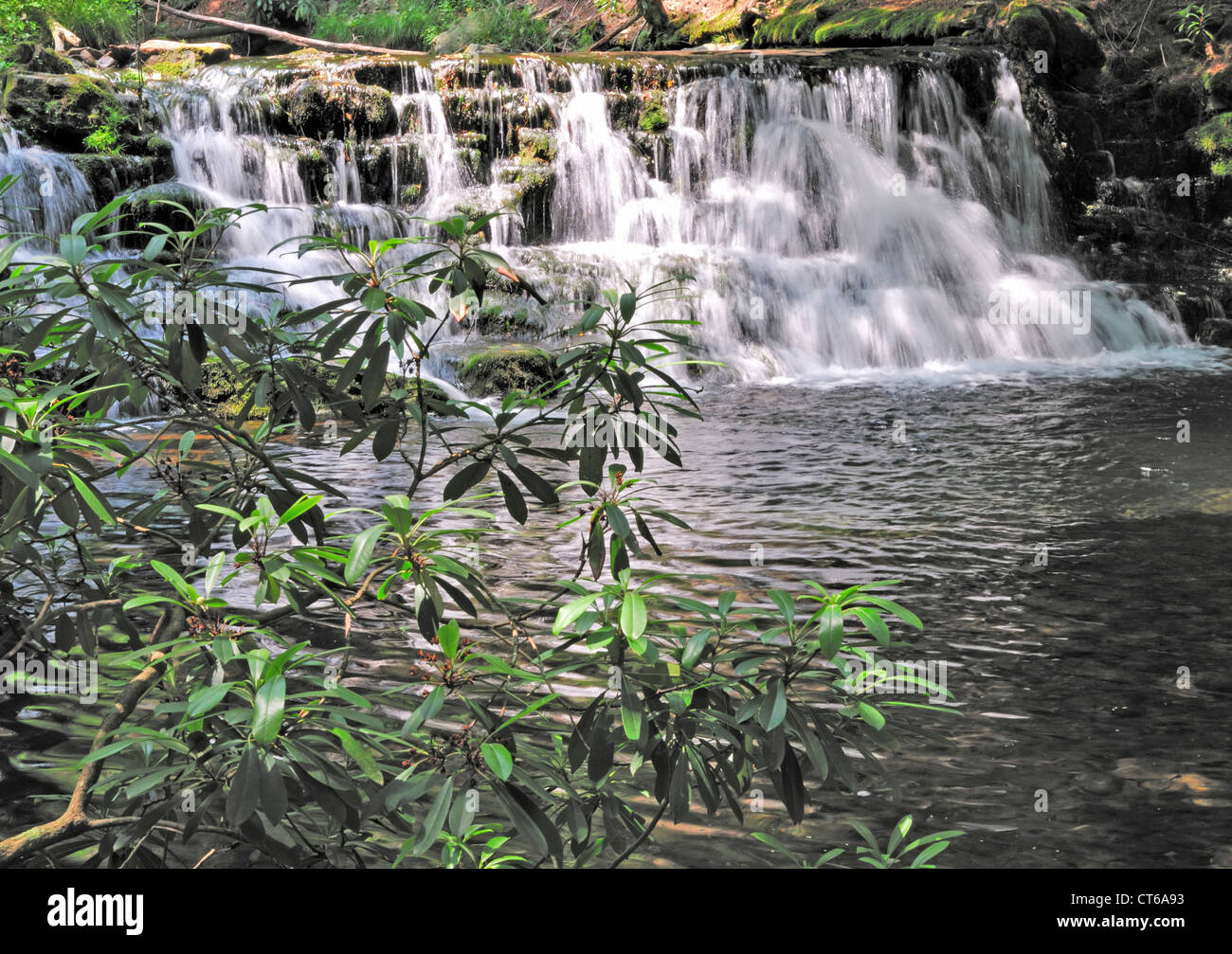 La cascade à Pocono Manor. Cascade dans un quartier calme glen Banque D'Images