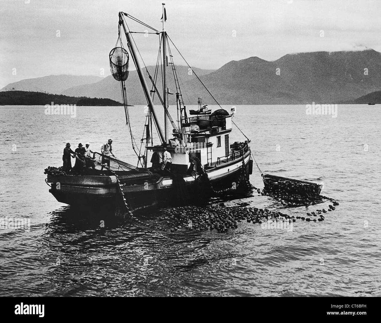 Les pêcheurs de saumon de travailler sur un bateau, British Columbia, Canada Banque D'Images