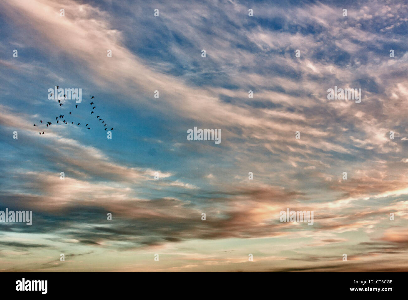 Coucher de soleil sur Chester County PA Banque D'Images