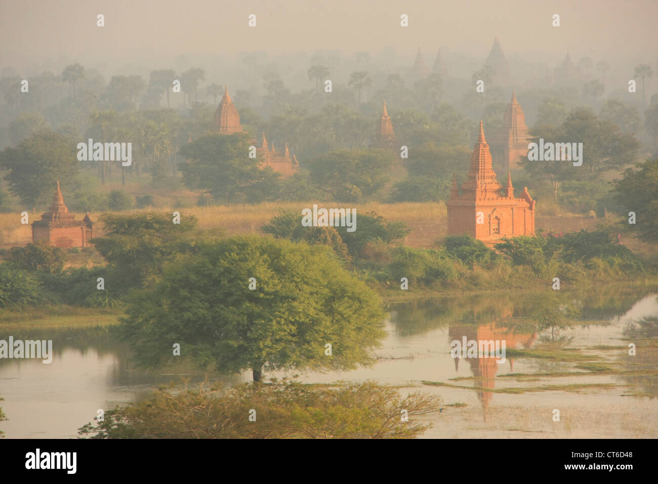 Temples de Bagan dans la brume du matin, Zone Archéologique de Bagan, Mandalay, Myanmar, région Asie du sud-est Banque D'Images