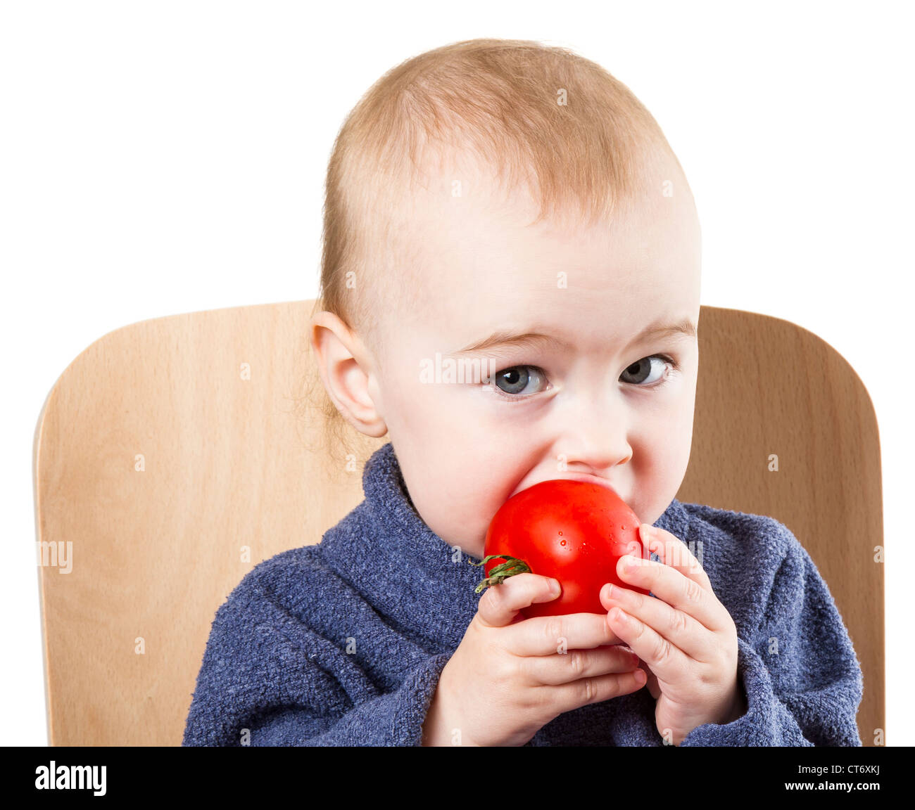 Jeune enfant de manger des tomates dans une chaise haute. fond neutre Banque D'Images