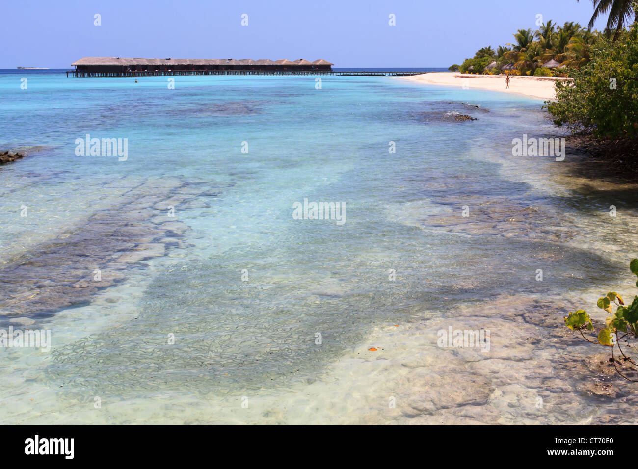 Les bungalows de luxe, mer, de la plage et d'un banc de petits poissons dans les Maldives Banque D'Images
