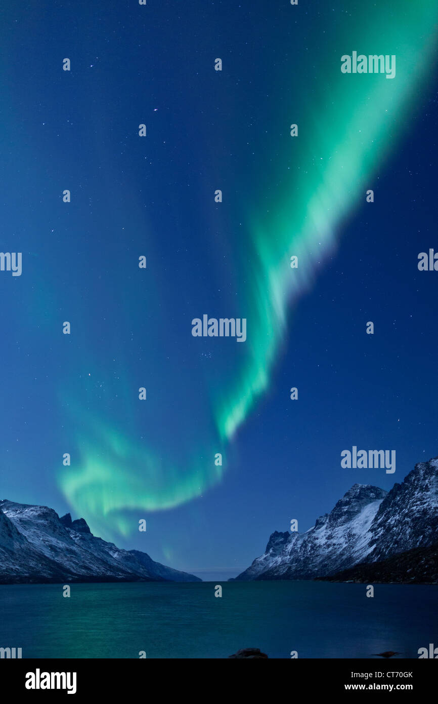 Northern Lights (aurores boréales) qui organisent dans le ciel du nord de la Norvège, Scandinavie arctique pendant l'hiver Banque D'Images