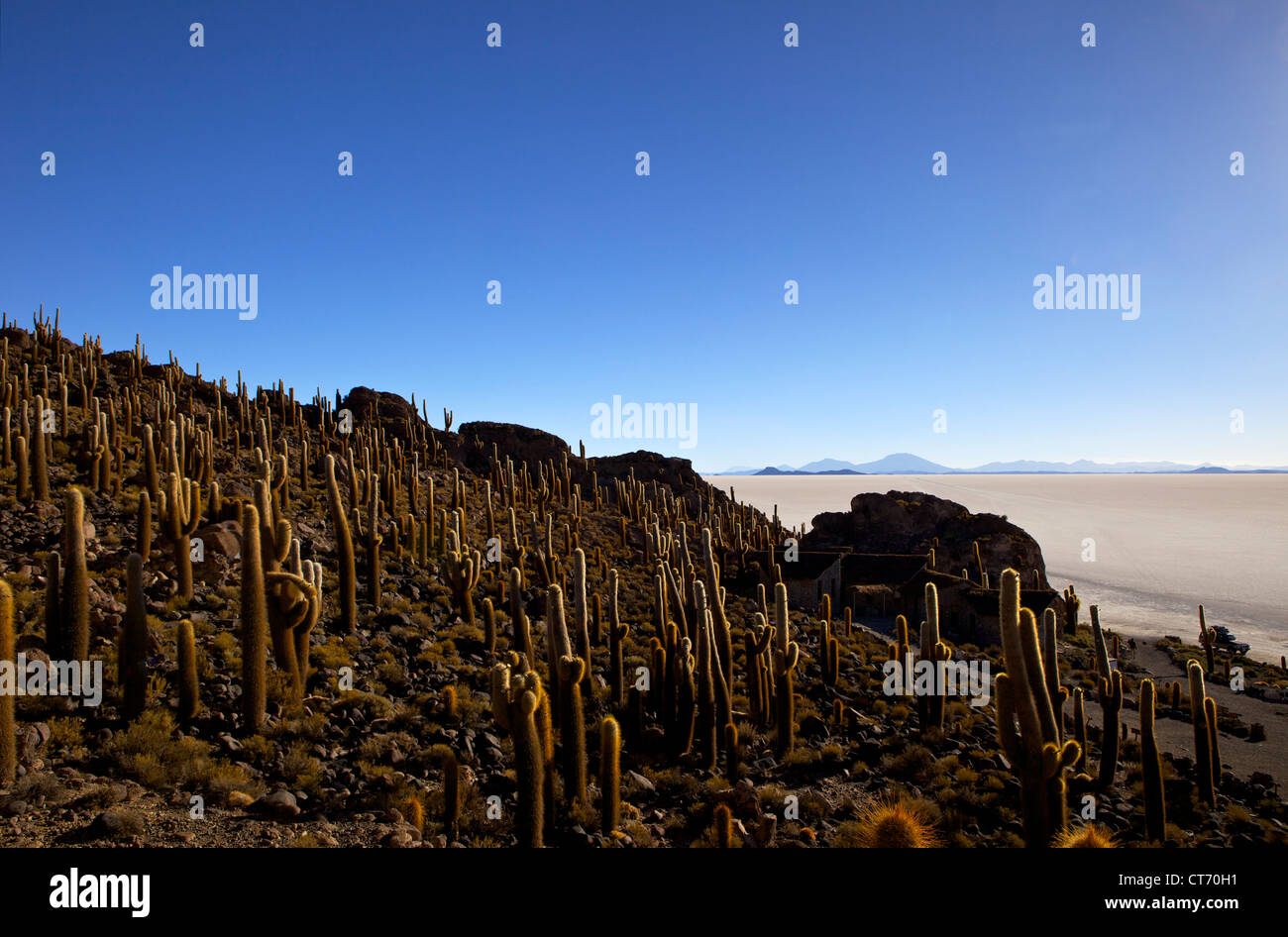 Le Salar de Uyuni, Bolivie, Amérique du Sud Banque D'Images