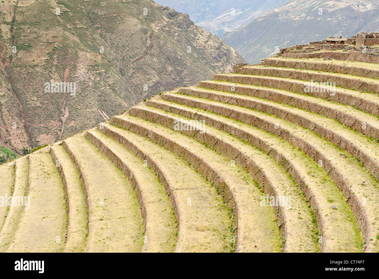 Terrasses agricoles construites par les Incas à Pisac, Urubamba, Pérou. Banque D'Images