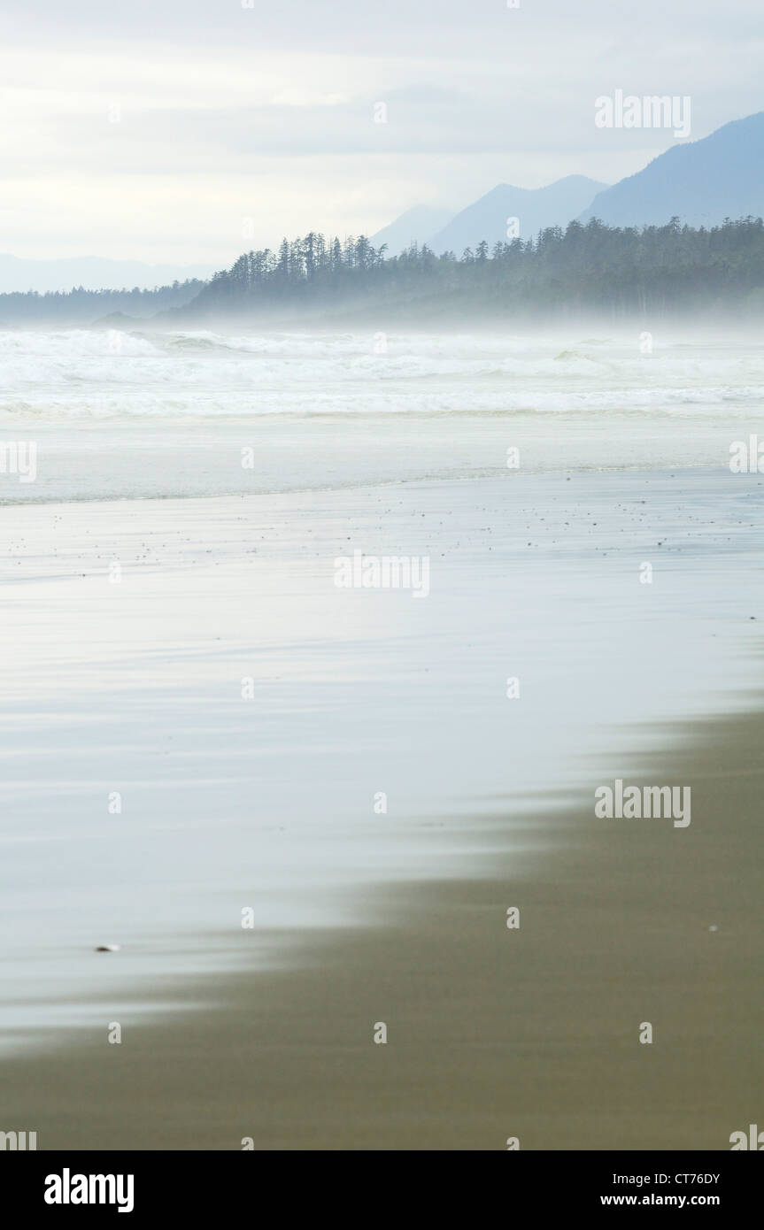 Plage de lonely à Tofino, sur l'île de Vancouver Banque D'Images