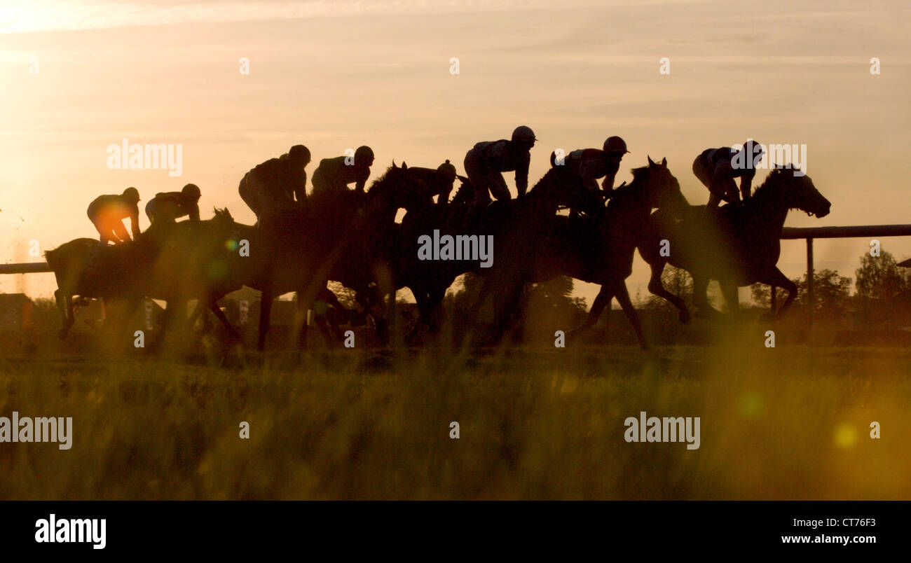 Iffezheim, les chevaux et les jockeys en action Banque D'Images