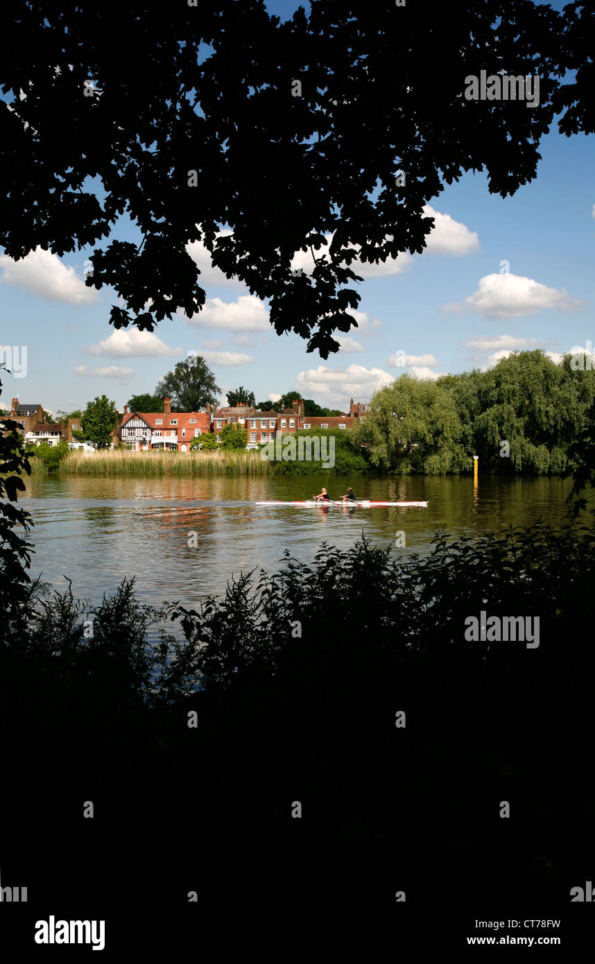 Les rameurs sur la Tamise en passant Chiswick Eyot et Chiswick Mall, Chiswick, Londres, UK Banque D'Images