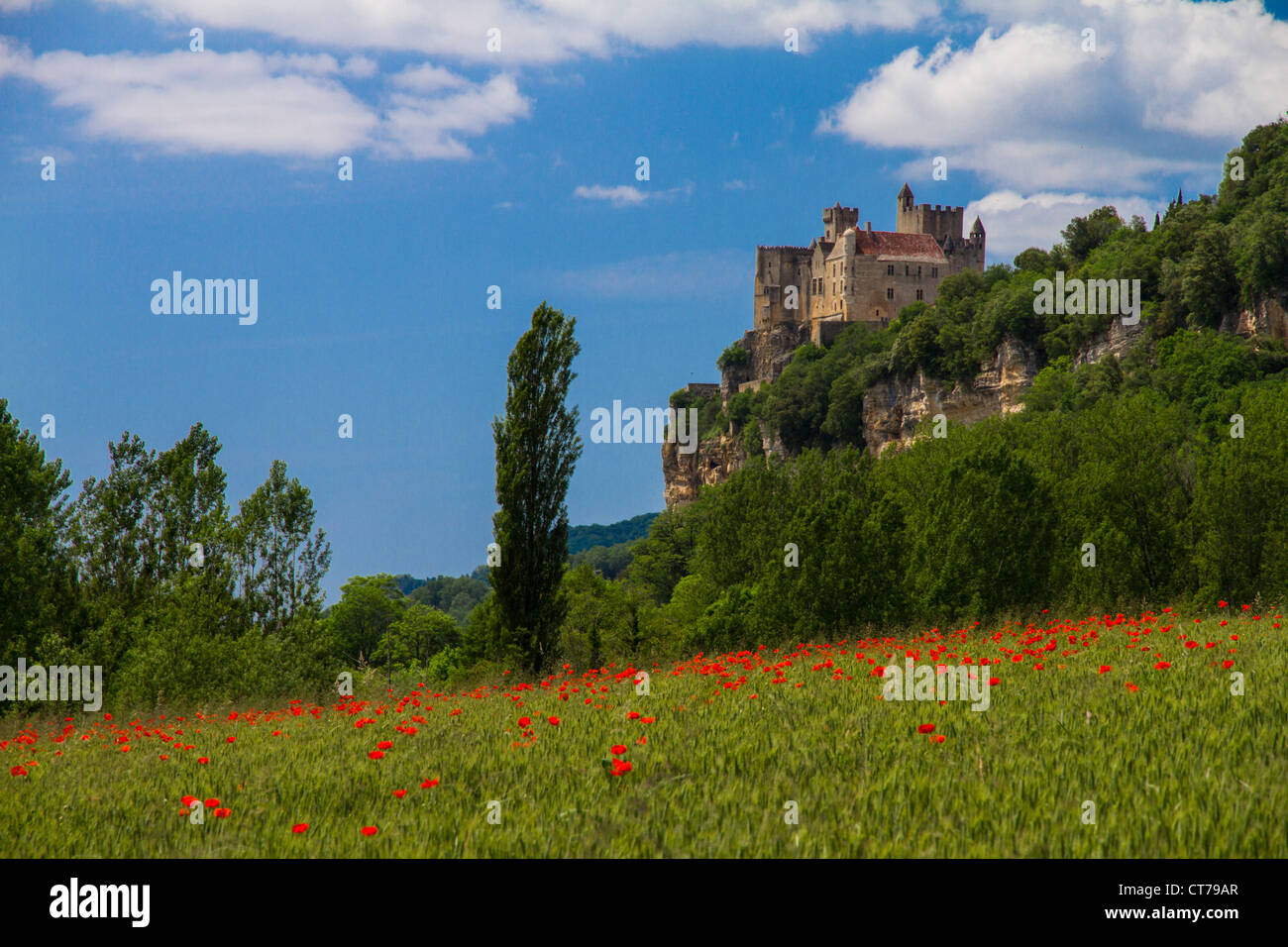 Château de Beynac - château de Beynac Banque D'Images