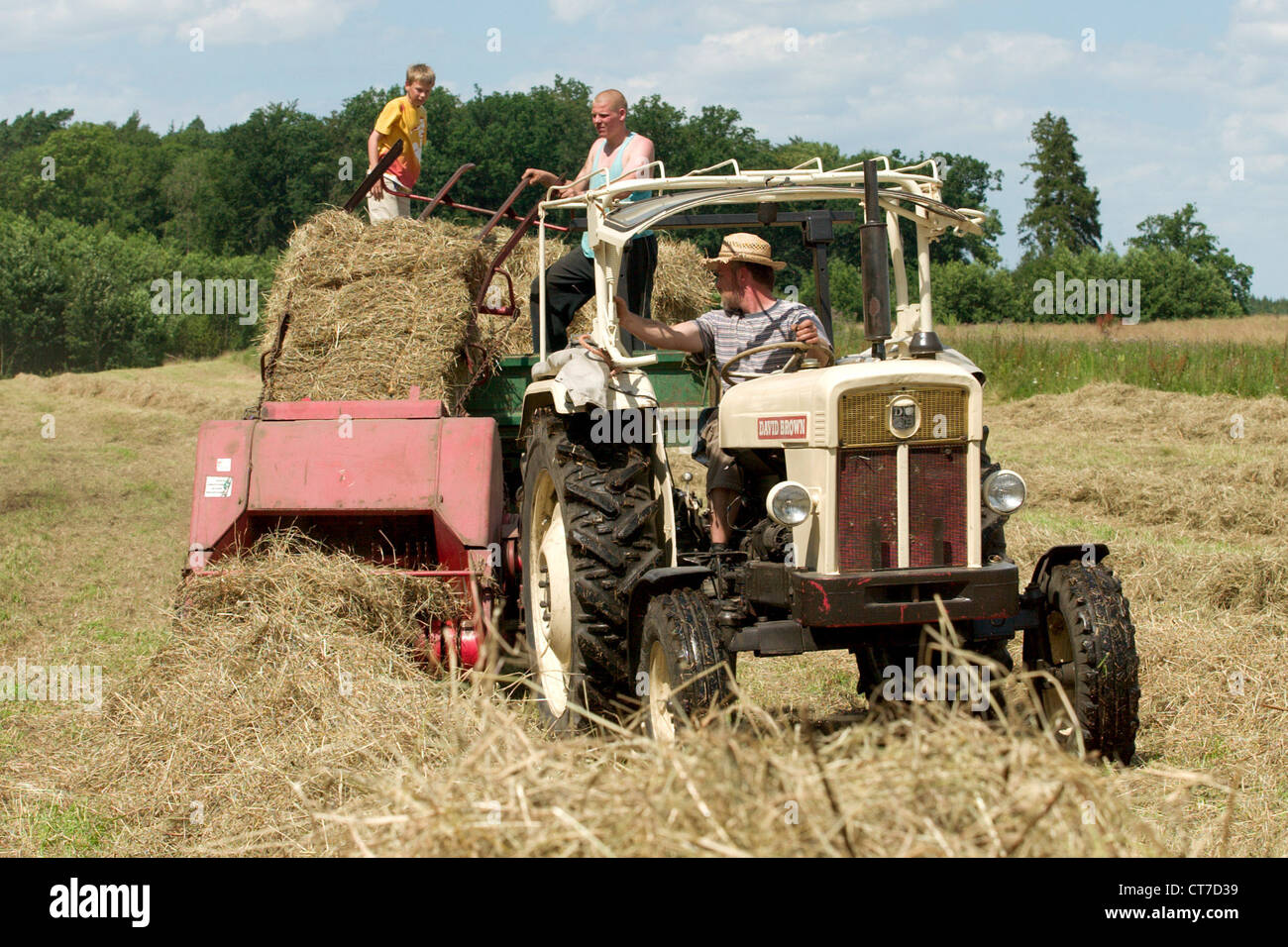 La fenaison dans le Mecklembourg Banque D'Images