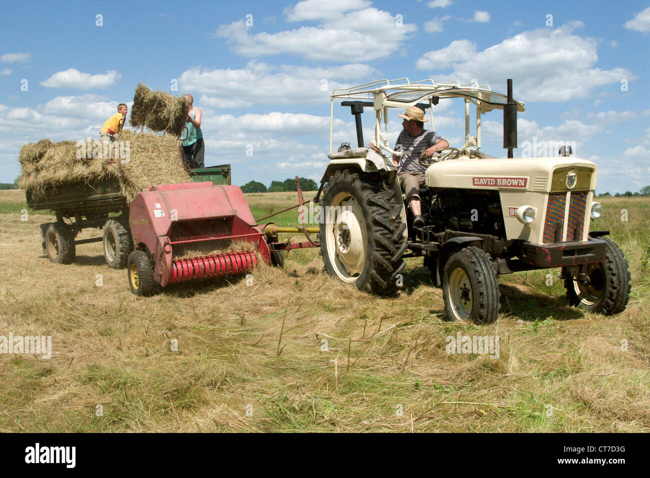 La fenaison dans le Mecklembourg Banque D'Images