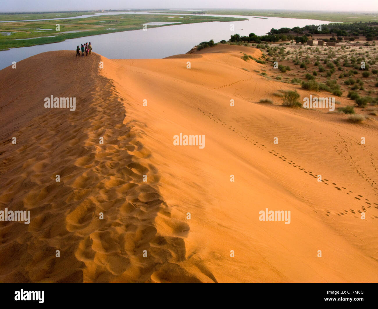 La Dune de Koima ( Dune Rose ) par fleuve Niger, la région de Gao. Mali .l'Afrique de l'Ouest. Banque D'Images