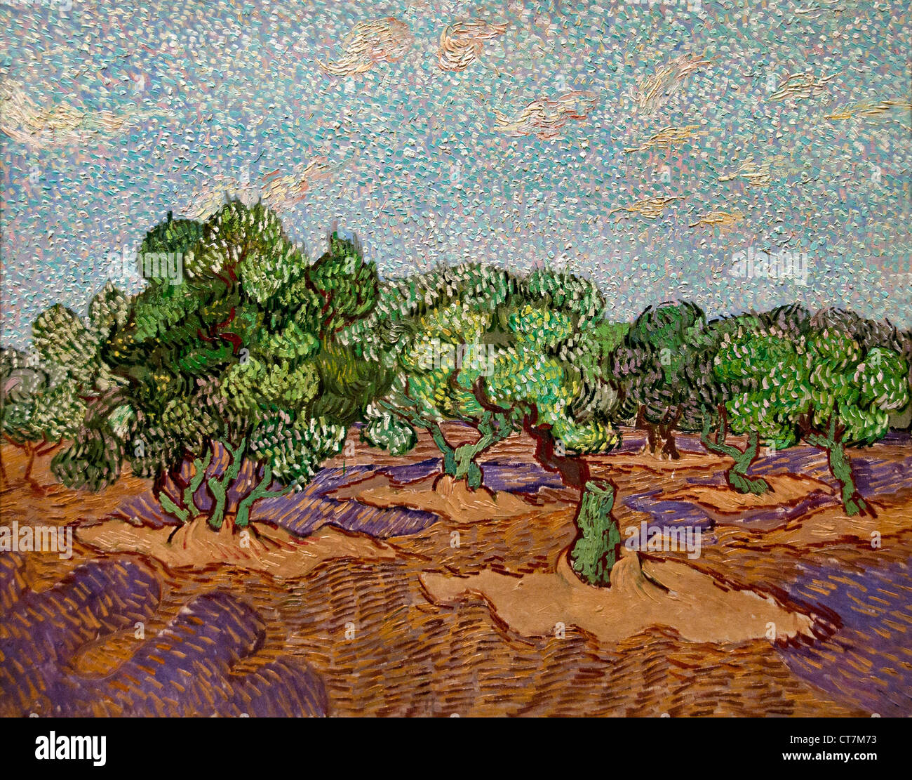 Oliviers 1889 Vincent van Gogh 1853-1890 Pays-Bas Néerlandais Banque D'Images
