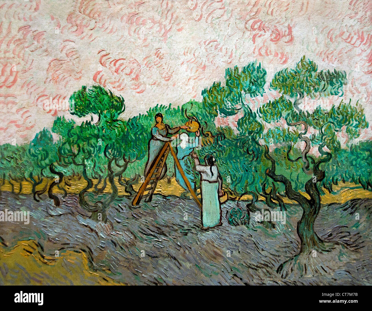 Les femmes cueillette des olives 1889 van Gogh VVincent 1853-1890 Pays-Bas Néerlandais Banque D'Images