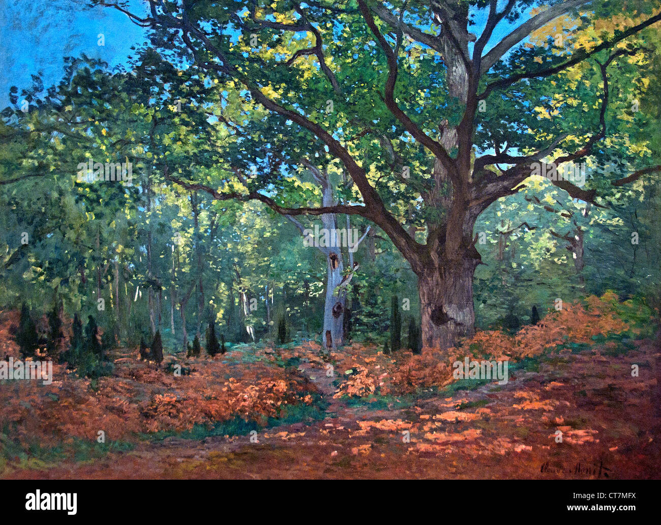 Le Chêne Bodmer, forêt de Fontainebleau 1865 Claude Monet 1840 - 1926 France Banque D'Images