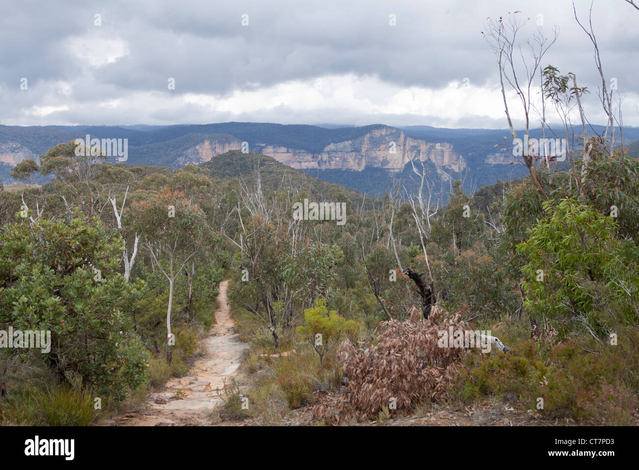 Vue sur les montagnes bleues en Nouvelle Galles du Sud, Australie. Banque D'Images