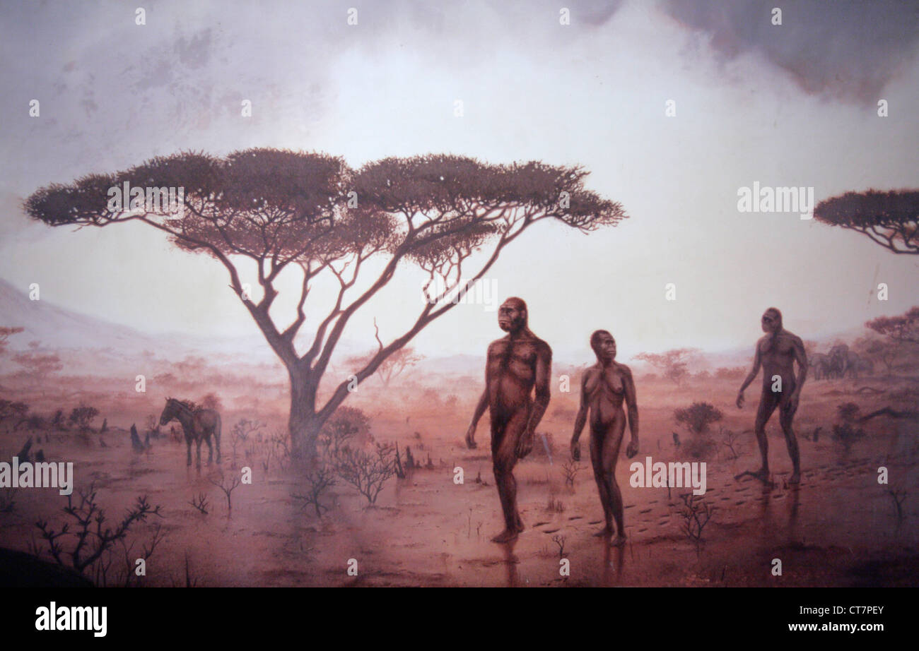 Berceau de l'humanité à la Gorge d'Olduvai et Musée Archéologique, Ngorongoro, en Tanzanie Banque D'Images