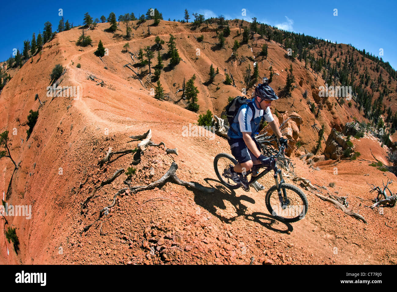 Du vélo de montagne sur Thunder Mountain Trail, Red Mountain, Utah, USA Banque D'Images