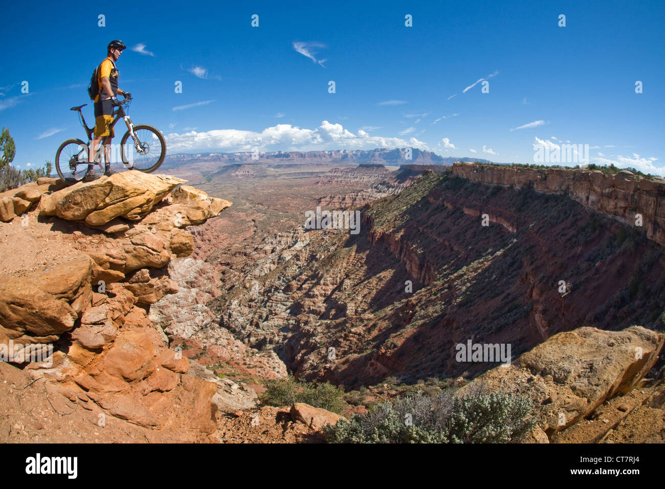 Du vélo de montagne sur Mesa Groseille, Zion, Utah, USA Banque D'Images