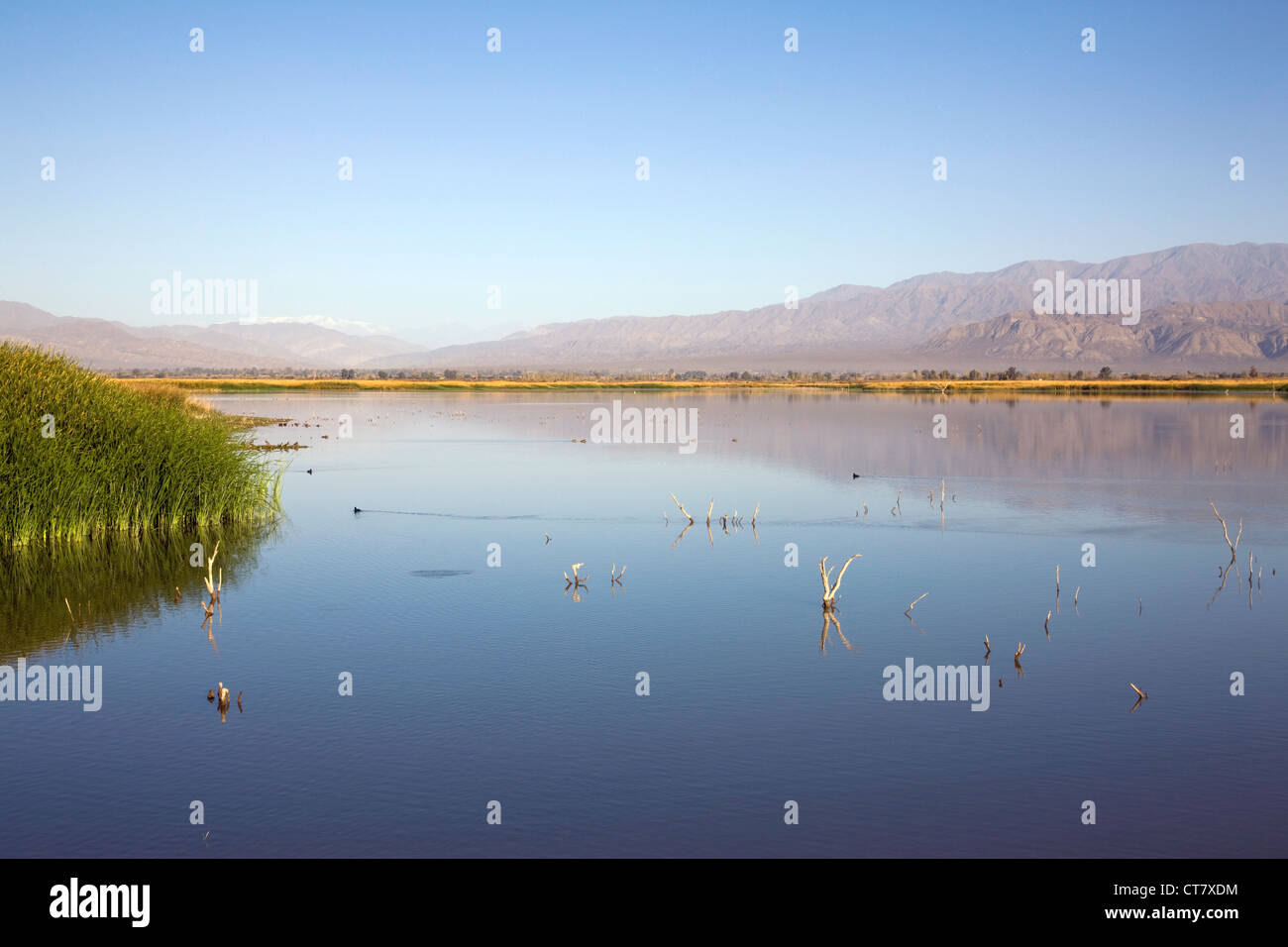 Huaco Lac sur Ruta 40 en route vers le Parque Provincial Ischigualasto ou Valle de la Luna Banque D'Images