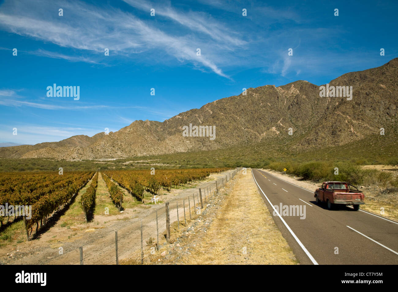Ruta 40 à la périphérie de la ville passant vignoble et montagne Banque D'Images