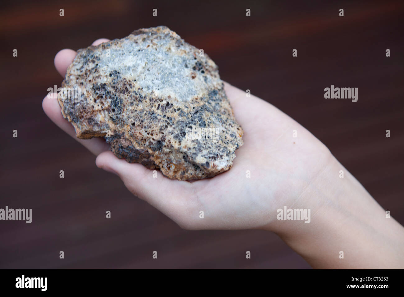 Veine de quartz hydrothermal avec textures boxwork sulfure Banque D'Images