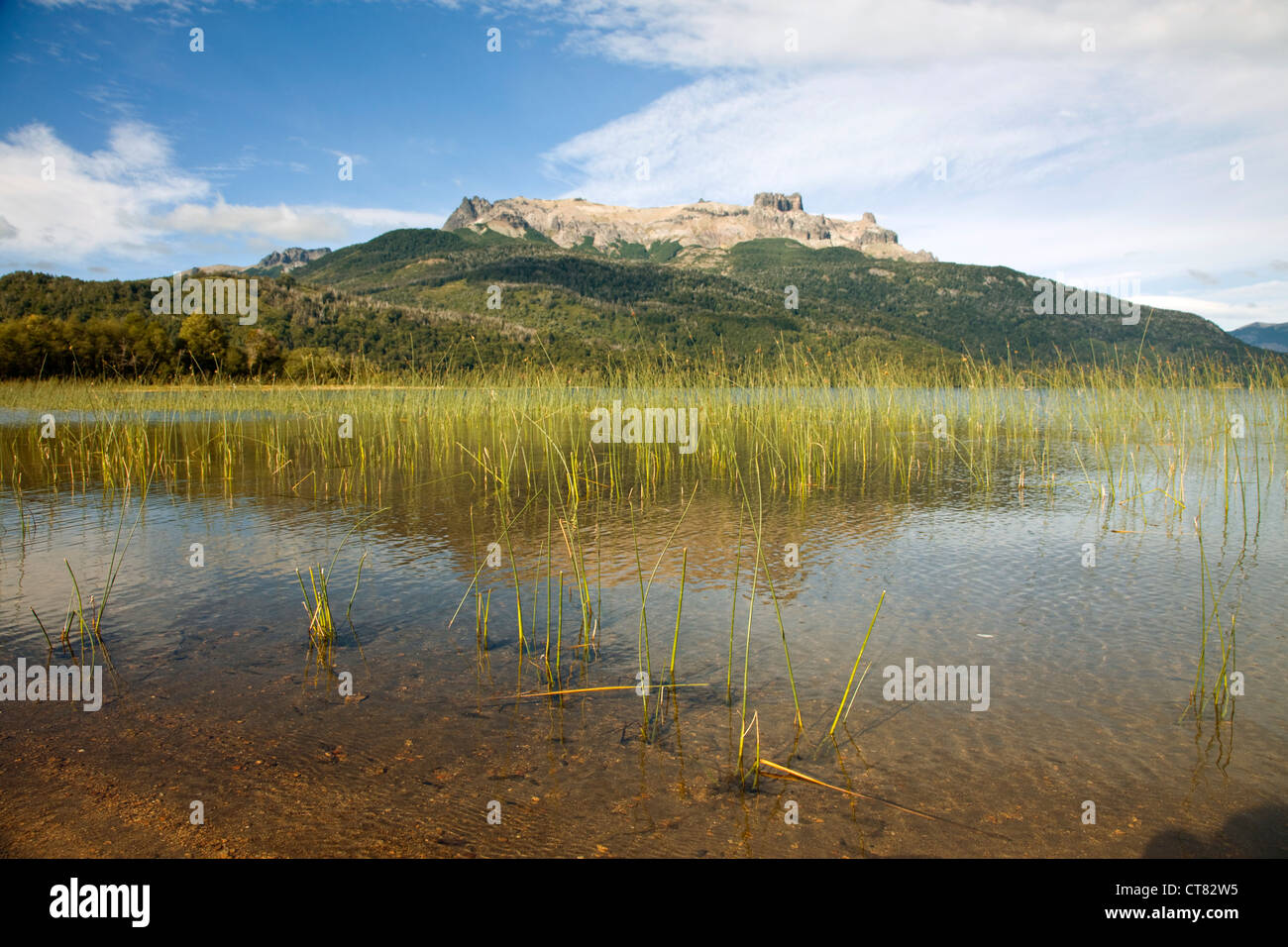 Lago Falkner Banque D'Images