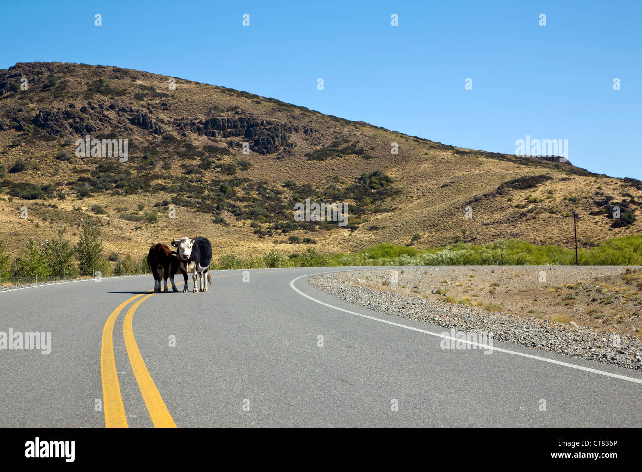 Vue générale sur la Ruta 60 vers le Chili Banque D'Images