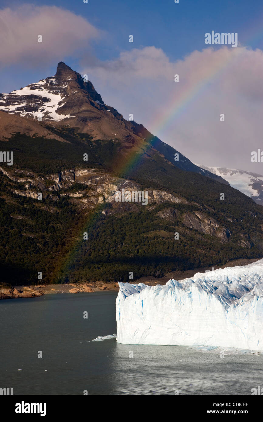 Mur de rupture de Glaciar Perito Moreno Banque D'Images