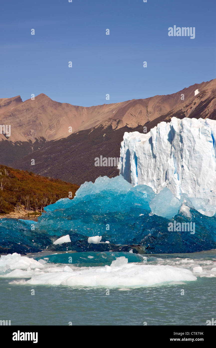 Iceburg fraîchement renversée devant la face nord du Glaciar Moreno dans le canal de los Tempanos en Lago Argentino Banque D'Images