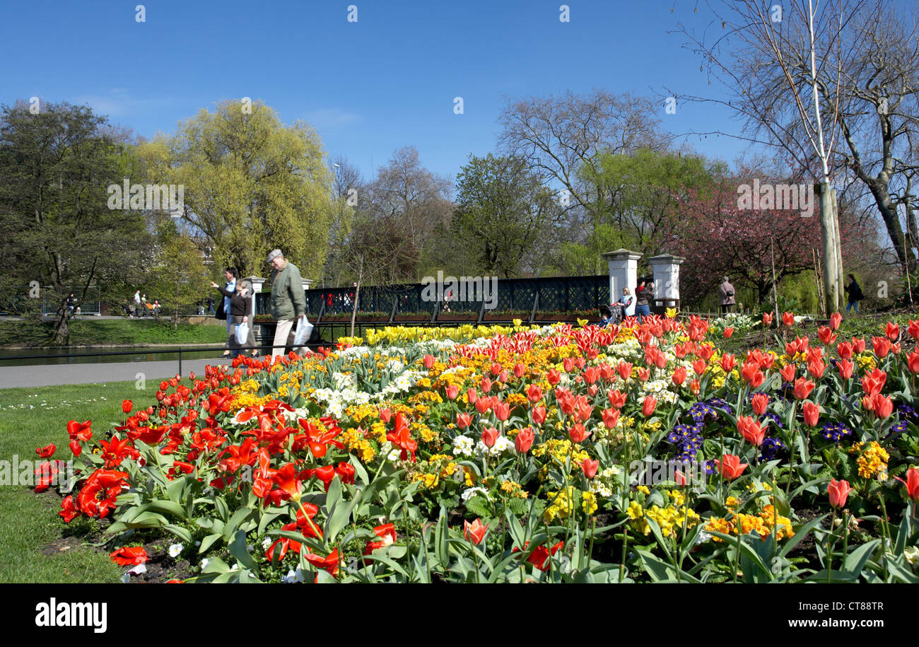 Londres - Le printemps à Regent's Park avec flowerage Banque D'Images