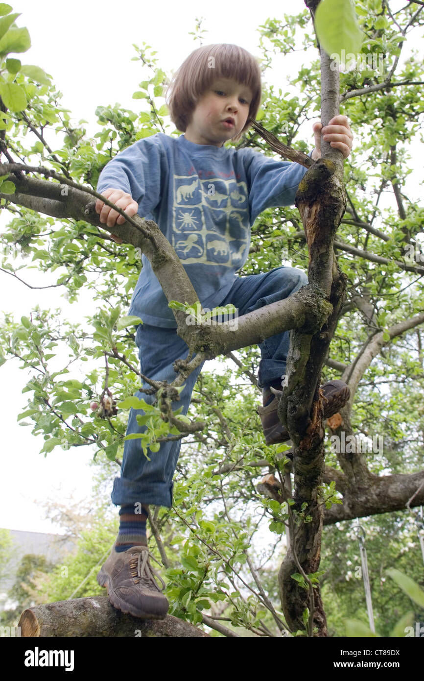 Un enfant grimpe dans un arbre Banque D'Images