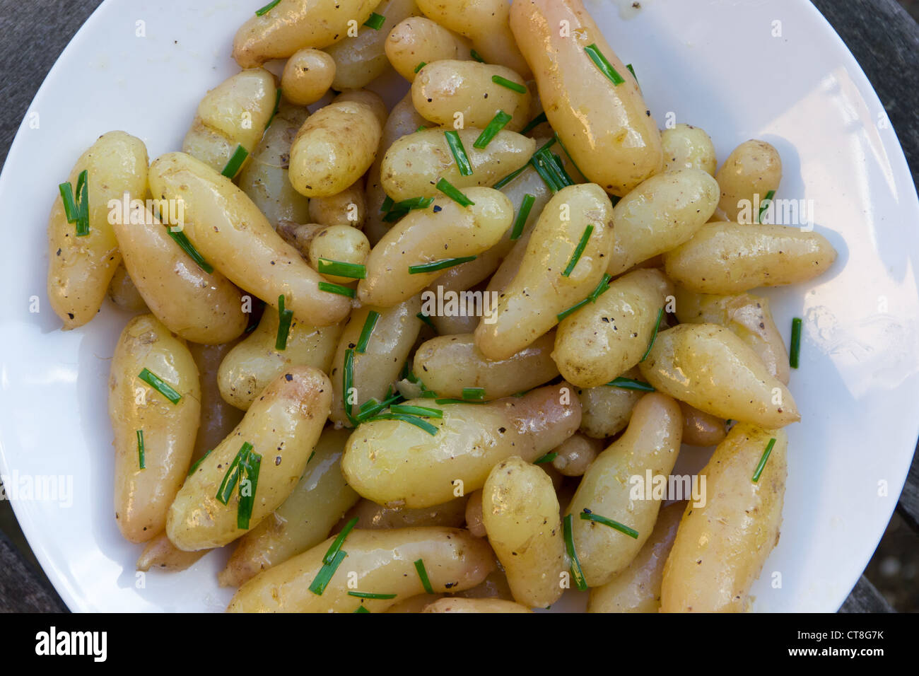 Un bol de pommes de terre nouvelles cuites à la ciboulette Banque D'Images