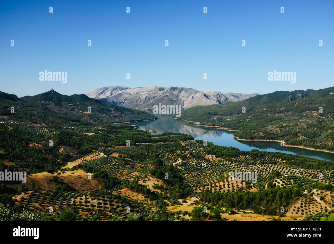 Un réservoir (El Tranco de Beas) et le magnifique paysage de l'olivier de Las Sierras de Cazorla, Segura y Las Villas Banque D'Images