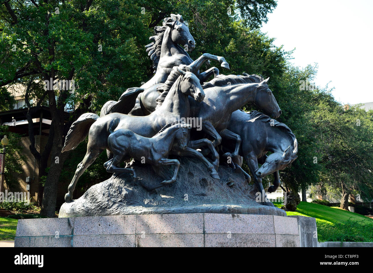 Statue en bronze de la Mustang à l'Université du Texas à Austin. Banque D'Images