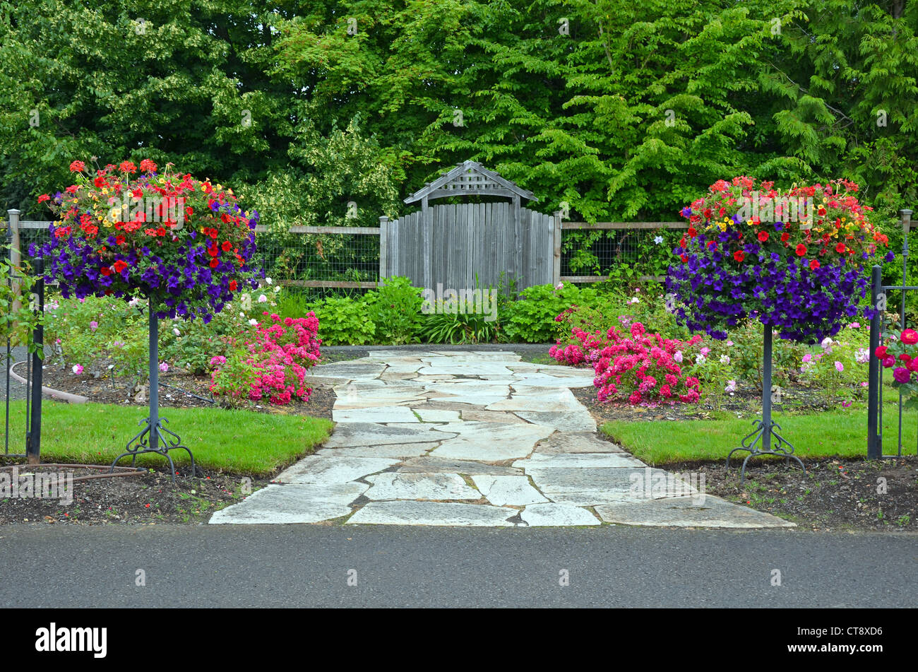 Luxuriant jardin printemps coloré avec des semoirs fleur pétunia Banque D'Images