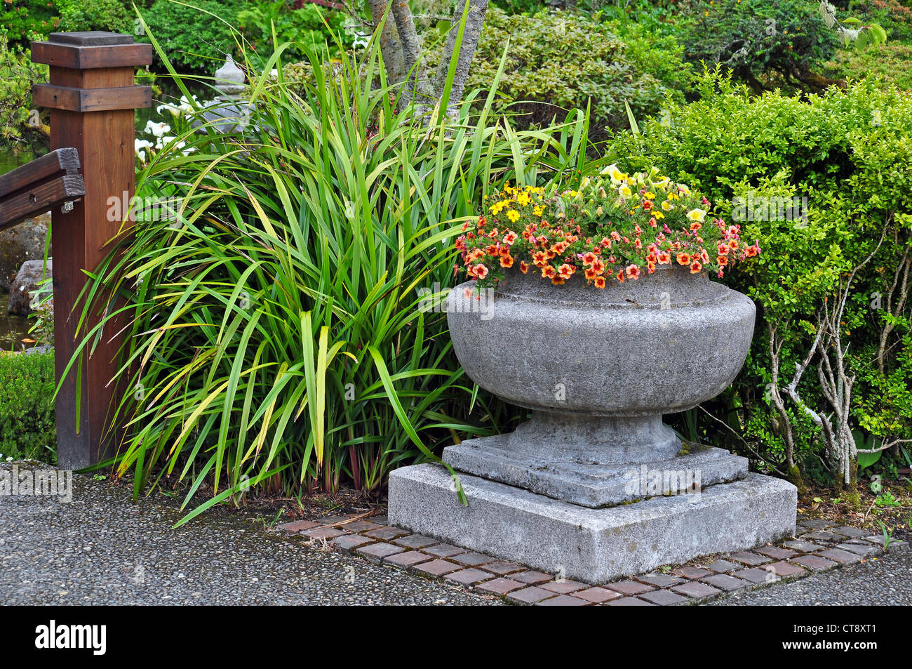 Fleur de jardin en pierre remplie de plantes colorées du semoir Banque D'Images