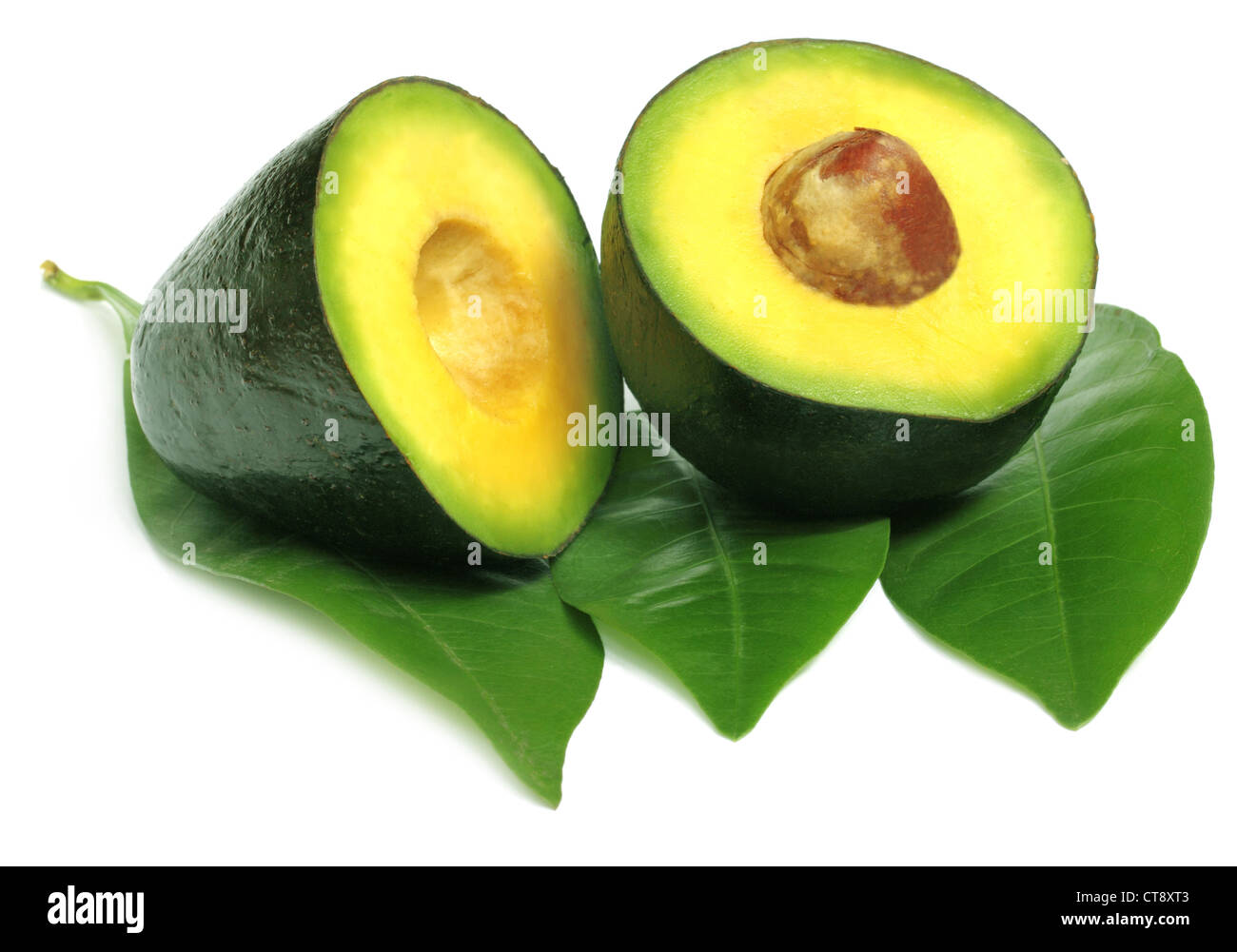 Fruits tropicaux frais avocat Banque D'Images