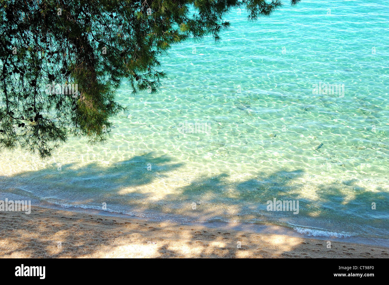 Plage et l'eau turquoise de la mer Egée, Halkidiki, Grèce Banque D'Images