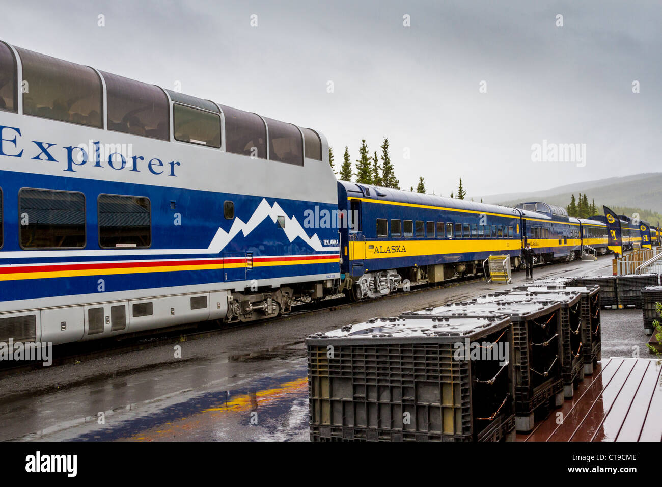 Attendant sous la pluie le train Holland America McKinley Explorer - Alaska Railroad au dépôt de Denali Alaska Railroad au parc national Denali. Banque D'Images