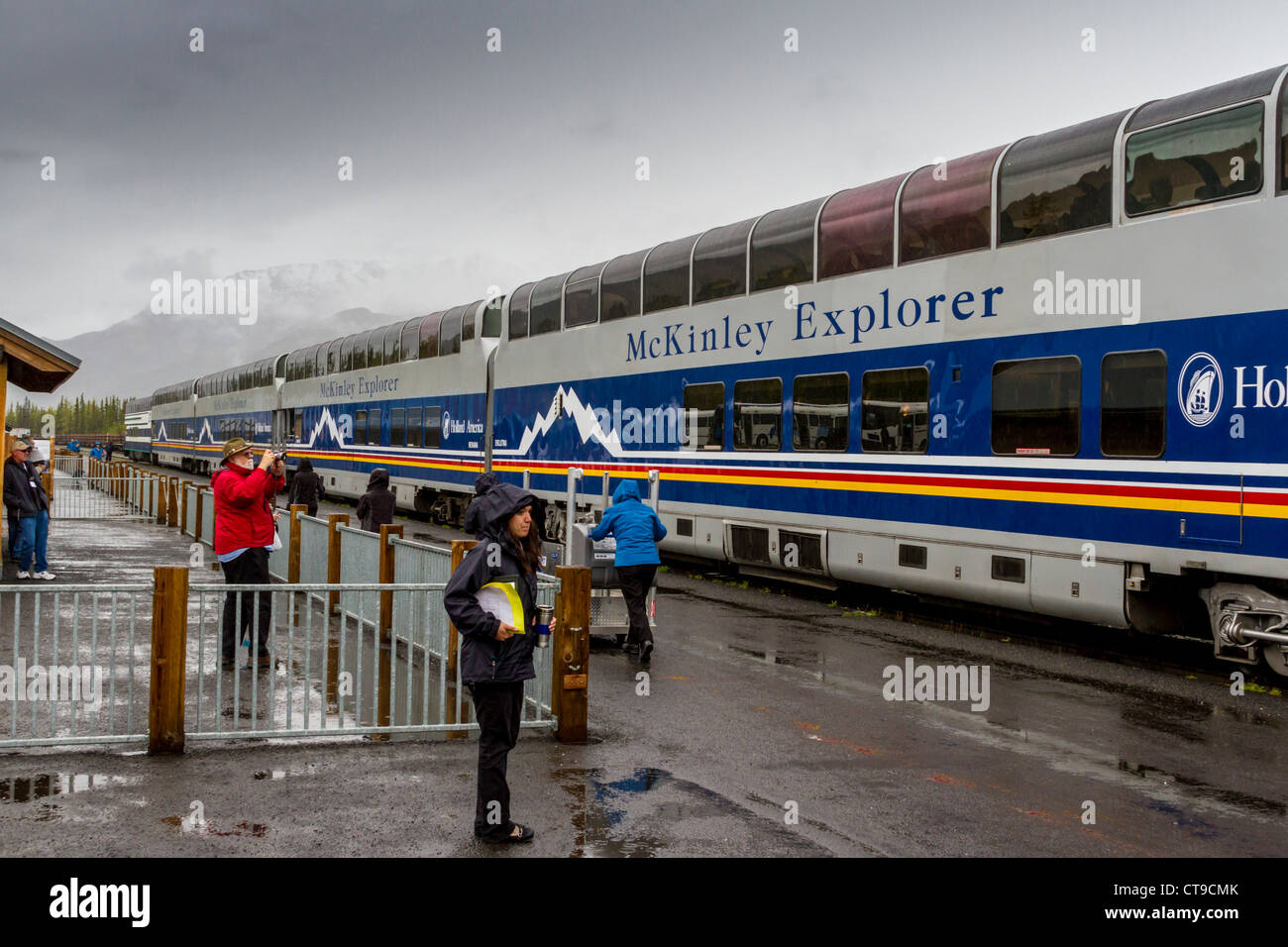 Attendant sous la pluie le train Holland America McKinley Explorer - Alaska Railroad au dépôt de Denali Alaska Railroad au parc national Denali. Banque D'Images