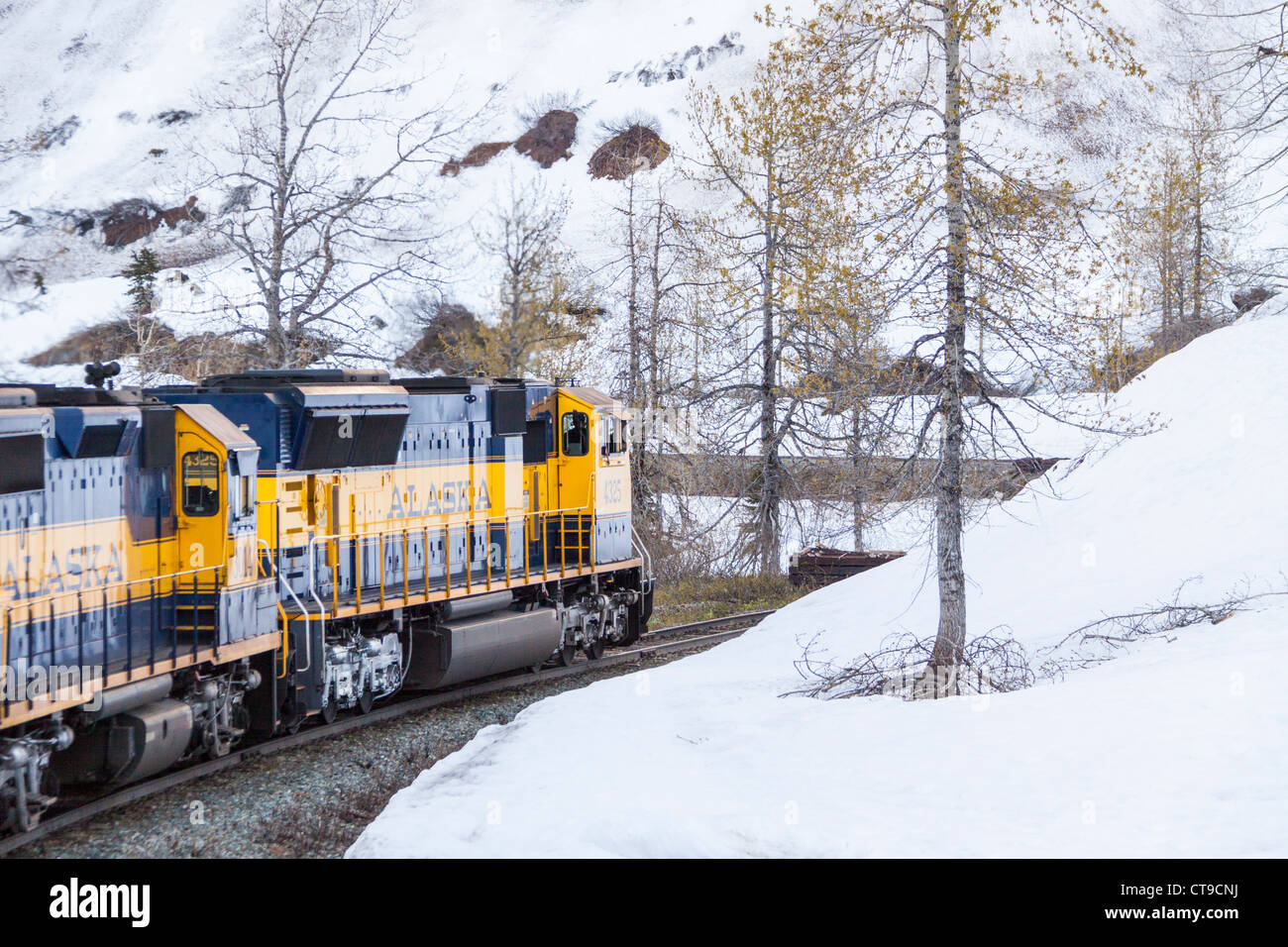 Alaska Railroad Coastal Classic train entre Seward et Anchorage, Alaska. Banque D'Images