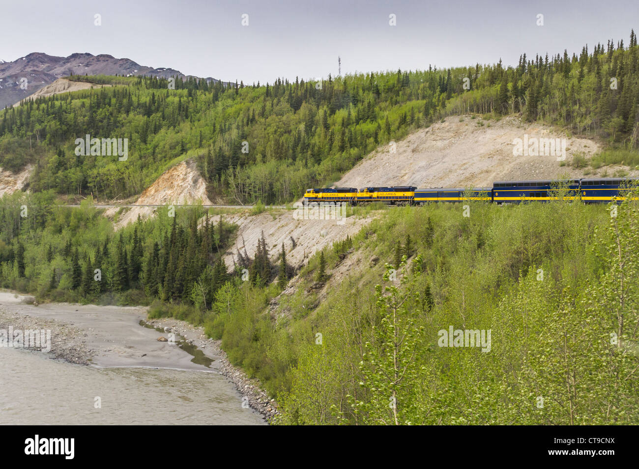 Alaska Railroad (avec Holland America wagons) escalade vers le parc national Denali, suivant la rivière Nenana lit. Banque D'Images